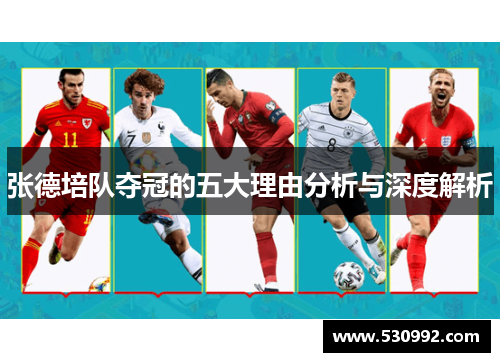 张德培队夺冠的五大理由分析与深度解析